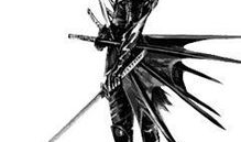 漫画女武士,漫画女武士的传奇风采