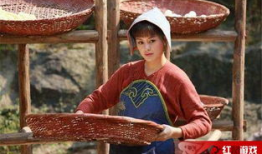 女儿红电视剧,青春岁月里的爱情与成长