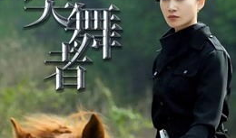 电视剧刀尖舞者,卧底风云，生死较量
