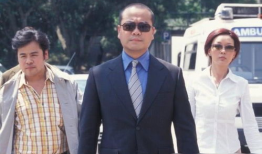 欧阳震华电视剧,正义与智慧的守护者传奇