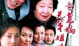 兄弟姐妹电视剧,血脉相连，命运交织