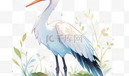 白鹭漫画,描绘自然之美，传递生态和谐